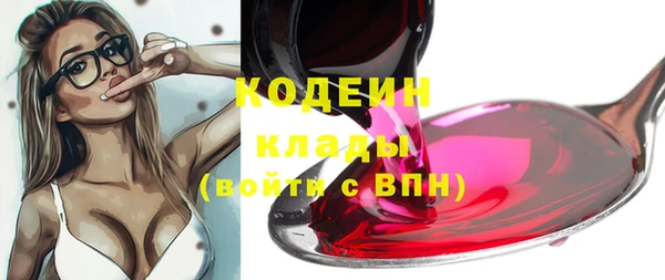 эйфоретик Инсар