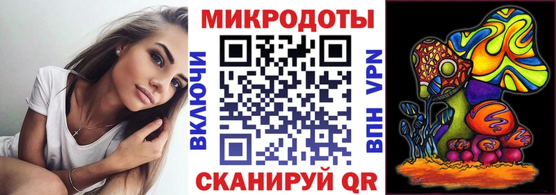 Галлюциногенные грибы Psilocybine cubensis  Купино 